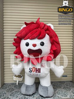 mascot hoi- sohi-bingo costumes (2).JPG