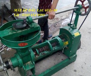6YL-80.jpg