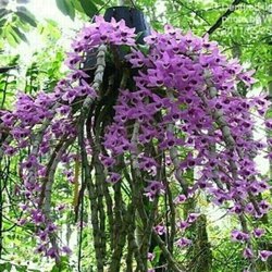 IMG_20161217_230235.jpg