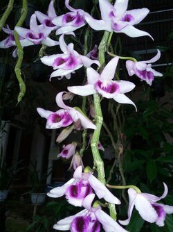 IMG_20161114_211031.jpg