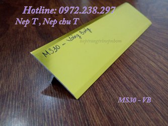 Nẹp T, nẹp chữ T , T30 VB.jpg