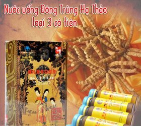 dong-trung-ha-thao-dang-nuoc-3-co-tien1.jpg