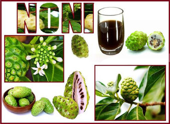 NONI-TAHITIAN-JUICE-3.jpg