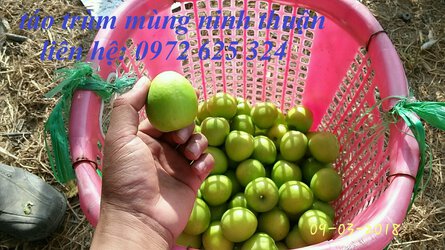 4fdde159da1b34456d0a.jpg