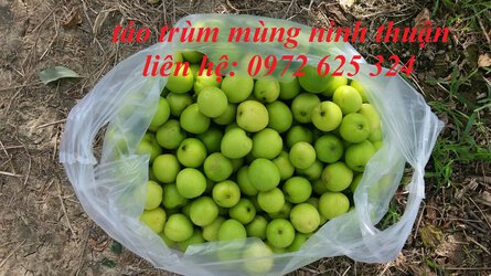 5e80d0090a4ae414bd5b.jpg