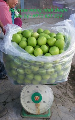67a888a14ce2a2bcfbf3.jpg