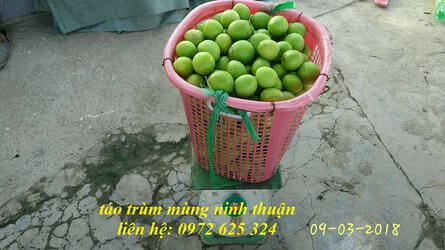 67d726381d7af324aa6b.jpg