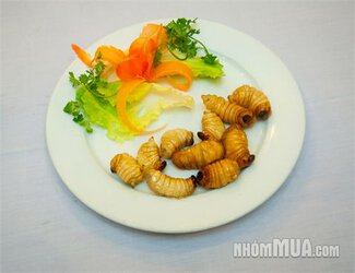 Nha-hang-Huong-Rung_201222214272785(2).jpg