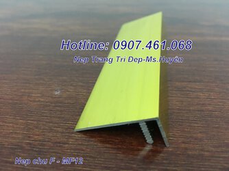 nẹp nhôm chữ f-nẹp chữ f-nẹp nhôm nối sàn-nẹp nối sàn-nẹp nhôm-nẹp f.jpg