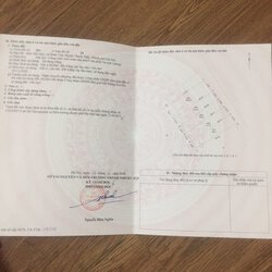 77c2b727d30d32536b1c.jpg