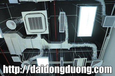am-tran-ddd.jpg
