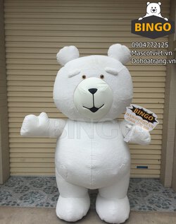 Mascot_Hoi_Gau_Trang_Bingo_Costumes.JPG