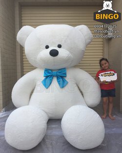 Gau_Bong_Teddy_Big Size_Trung_Bay_Bingo_costumes.JPG