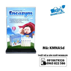KMNA5d-2.jpg KMNA5d-2.jpg