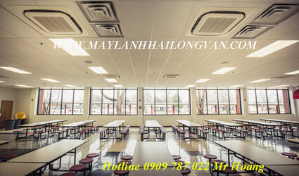 111111111111111111111 AM TRAN.jpg