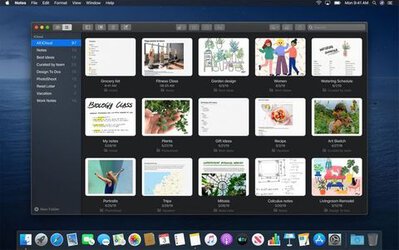mac-os-2-1570503434391403854269.jpg