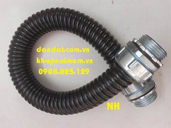 ong ruot ga ngoai troi.jpg