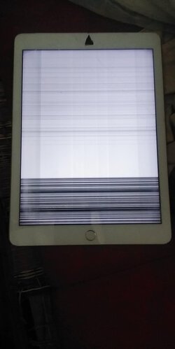 118841401_1523816607810052_1399433457352215219_n.jpg