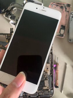 118889262_631425247765546_1287178906719400230_n.jpg