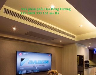 may-lanh-dai-dong-duong.jpg