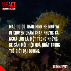 1467388_761924300490085_1389757389_n.png 1467388_761924300490085_1389757389_n.png