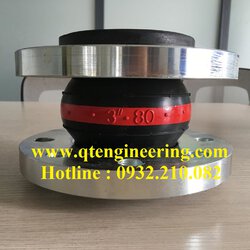 khop-noi-mem-cao-su-qtengineering (7).jpg