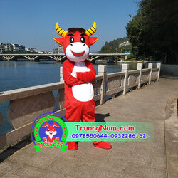 mascot-trau-mascot-trau-dep-de-thuong-mascot-trau-hoat-nao-0978550644 (9).jpg