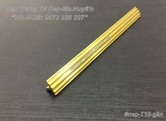 #nep-T10-gân, #nep-chi-dông, #nep-dông, #nep-T10, #nep-dông-chông-truot, #nep-T-gân, #nep-tran...jpg