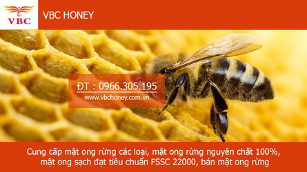 banner-youtube.jpg