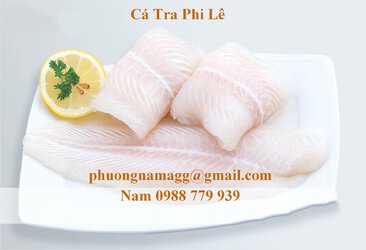 ca tra fillet .jpg