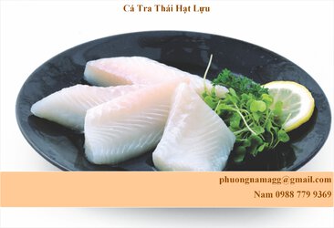 ca tra thai hat luu.jpg