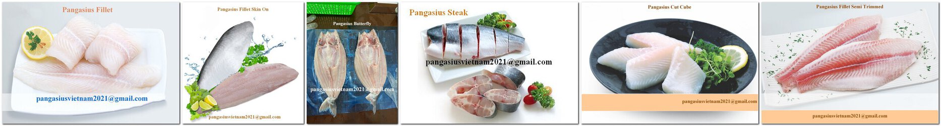 Pangasius Viet Nam.jpg