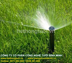 tưới chinh goc.jpg