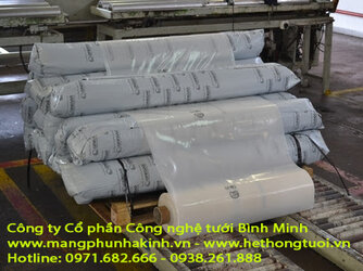 mang che nha kinh11.jpg