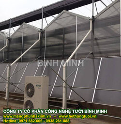 màng pe nhà kính (2).jpg