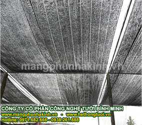 lcn9 - Copy.jpg