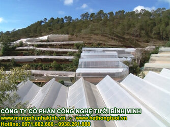 nhầ lưới trồng rau sạch.jpg