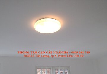 4 Den tang tret.jpg