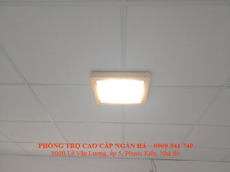 Den tang 2.jpg