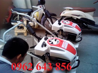 9536315_orig.jpg