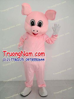 heo-hong-truongnam.com - Copy.jpg