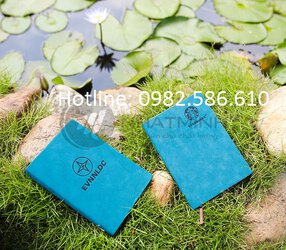 IMG_645X565_033.jpg