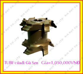 giaGùSEN-2C.jpg giaGùSEN-2C.jpg