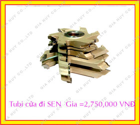 giaSEN-5C.jpg giaSEN-5C.jpg