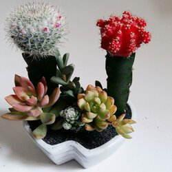 1 (6).jpg