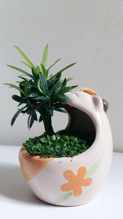 1 (7).jpg