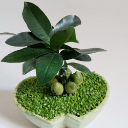 1 (9).jpg
