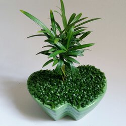 1 (10).jpg