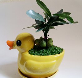 1 (12).jpg
