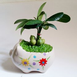 1 (13).jpg